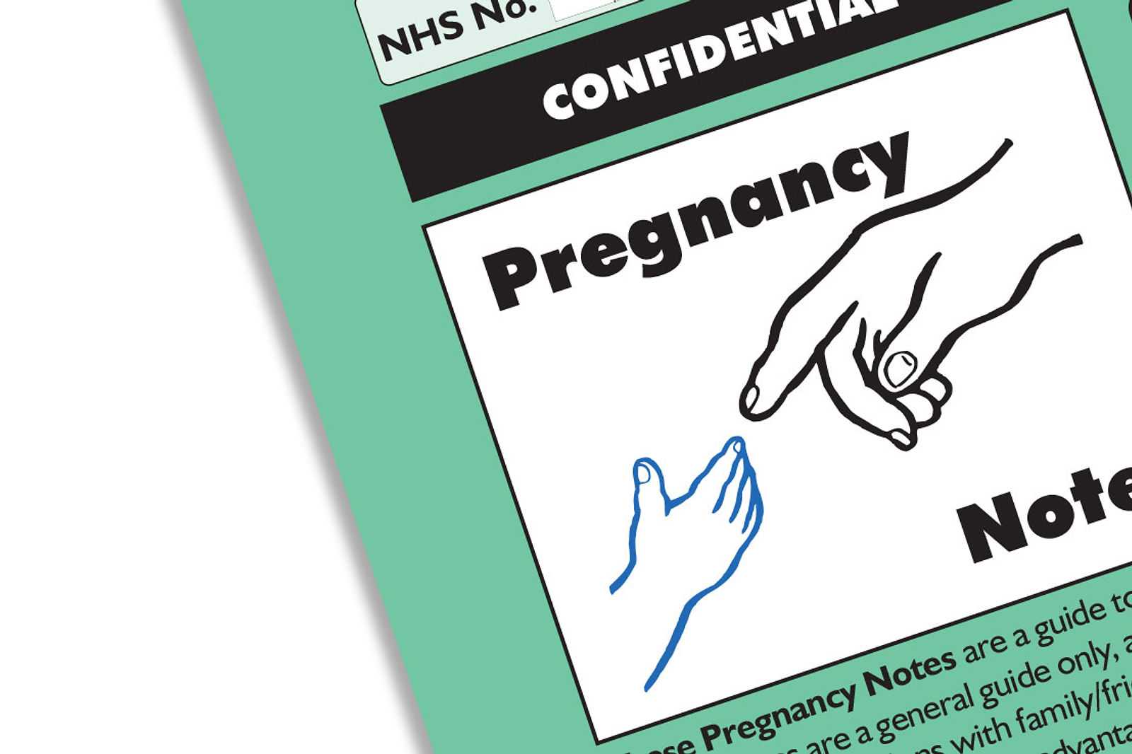 Maternity Notes Explained